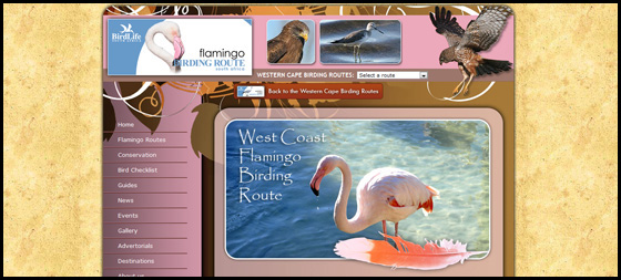 Flamingo Birding route theme, Western Cape Birding